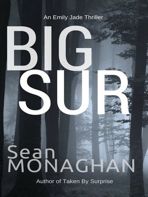 cover image of Big Sur